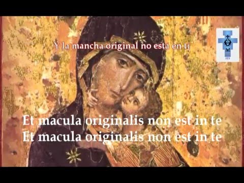 Tota Pulchra Es [Eres Toda Belleza] - Canto Gregoriano