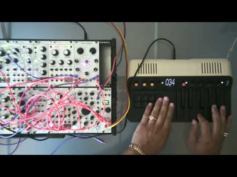 telepathic instruments orchid + patching panda moon phase