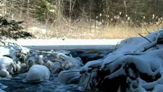 A Christmas Truce/ Silent Night. Belleau Wood