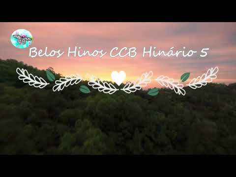 Hino 212 Testemunhas Verazes nós samos