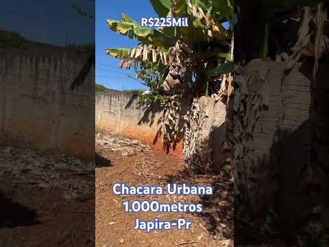 12 de julho de 2026