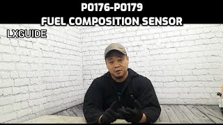 P0176 P0177 P0178 P0179 FUEL COMPOSITION SENSOR PROBLEMS? HERE IS THE SOLUTION
