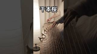 Download lagu 【箏】千本桜/黒うさP 初音ミク mp3 Download lagu 【箏】千本桜/黒うさP 初音ミク mp3