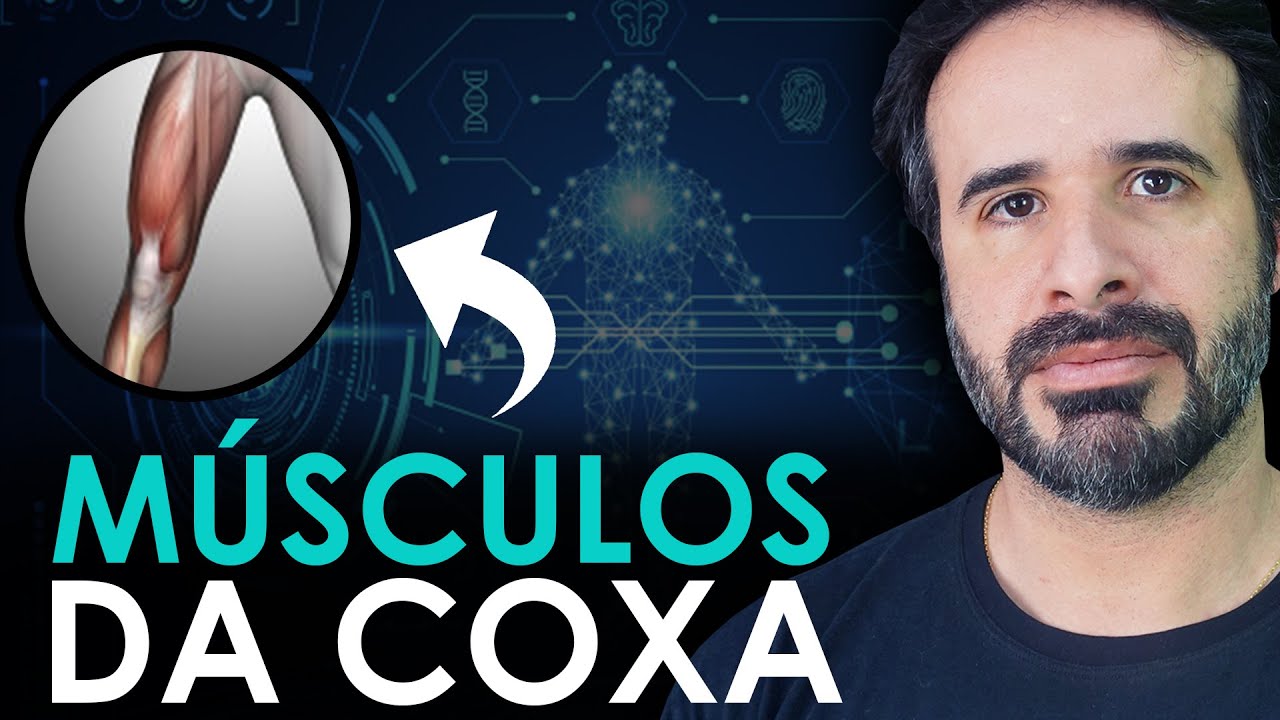 DIFICULDADE EM APRENDER OS MÚSCULOS DA COXA? VOCÊ VAI SE ARREPENDER DE NÃO ASSISTIR ESSE VÍDEO.