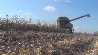 preview picture of video 'Agro-Bölcske Zrt Kukorica aratás/Corn harvest 2014 [FHD]'