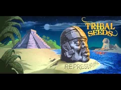 Tribal Seeds - Fill It Up (feat  New Kingston & Gonzo)