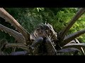 Aracnídeo Filme Completo E Dublado