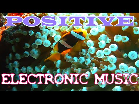 Thumbnail for POSITIVE Electronic Music Techno Cake MFM Clips by Cake (band)