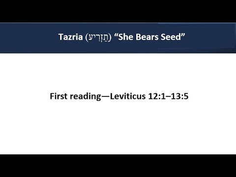 Tazria 1st Reading (Aliyah) Leviticus 12:1-13:5