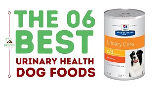 The Best Dog Foods For Urinary Health