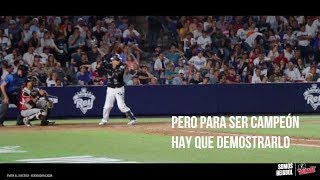 Capítulo VI: Los Sultanes Alcanzan la Gloria
