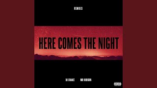 Here Comes The Night (Junkie Kid Remix)