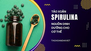 Tảo xoắn Spirulina - Nguồn dinh dưỡng đa năng cho cơ thể