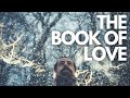 Sean Rowe covers "The Book Of Love" by the Magnetic Fields!