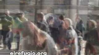 Esta Navidad ¡LLEVÁME A CASA!