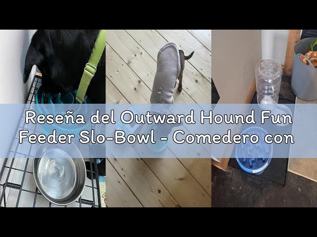 Vídeo relacionado con Outward Hound Fun Feeder Slo-Bowl - Comedero con obstáculos para perros - Turquesa - Mediano/mini