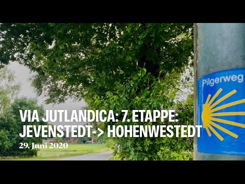 Jakobsweg 🥾 Via Jutlandica, 7. Etappe: Jevenstedt - Hohenwestedt