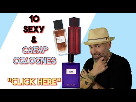 10 Sexy and Cheap Colognes YOU MUST TRY!