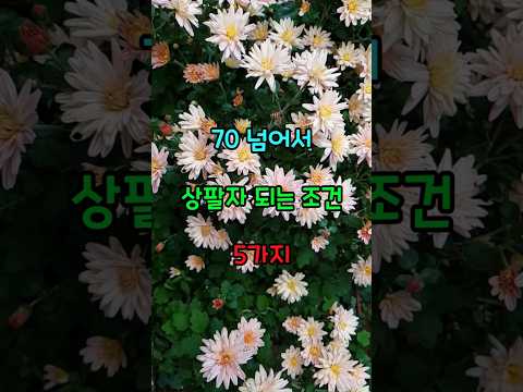 70 넘어서 상팔자 되는 조건 5가지  #명언  #노후준비  #성공비결