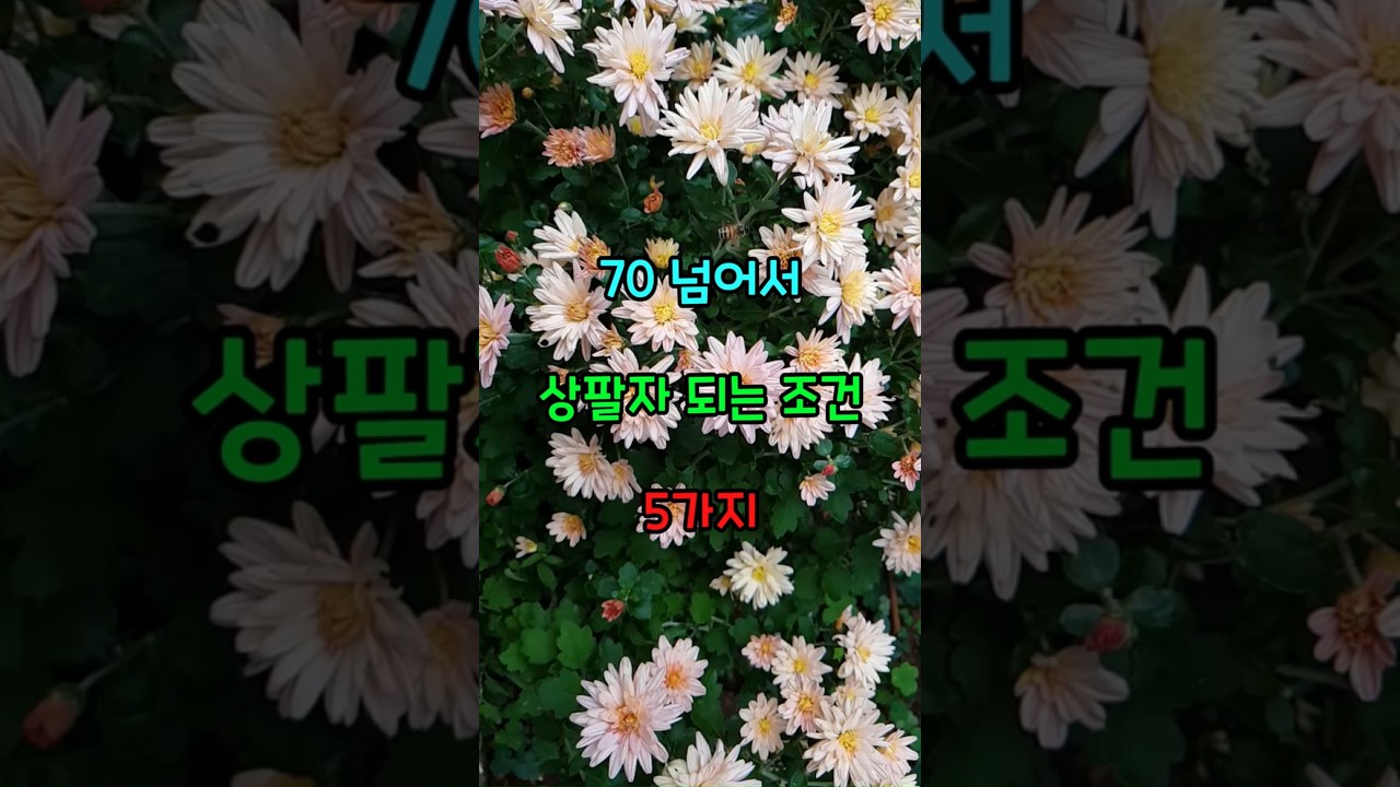70 넘어서 상팔자 되는 조건 5가지  #명언  #노후준비  #성공비결