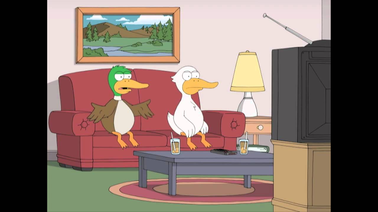 Two ducks watch 'Meet the Parents' -- HIGH QUALITY