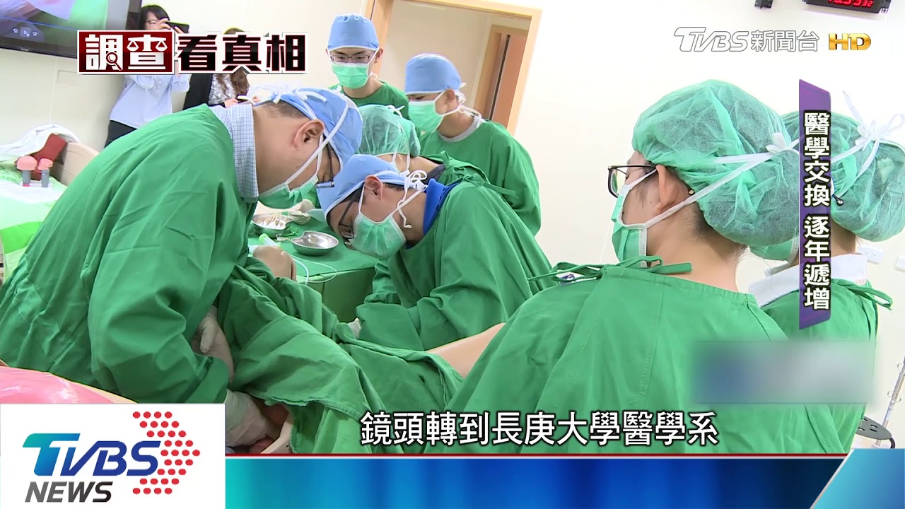 習醫「互惠」漸增!新加坡3女來台 獸醫實習