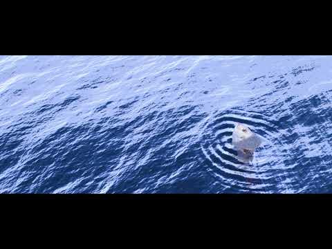 Giant Fish Jumping out of Water Blender Animation