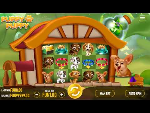 Puppy Puppy – Video Gameplay