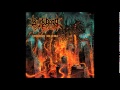 Back Door to Asylum - Auroral Plasmagenesis 