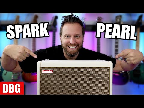 The 5 Most BEAUTIFUL Clean Tones On The Positive Grid Spark (Pearl Edition)