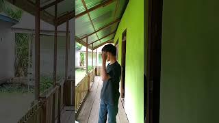 Download lagu Kubuang Rasa Impian Dan Harapan mp3