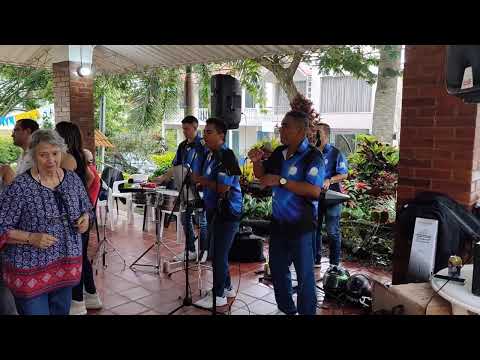 Show de Salsa y Merengue en Vivo