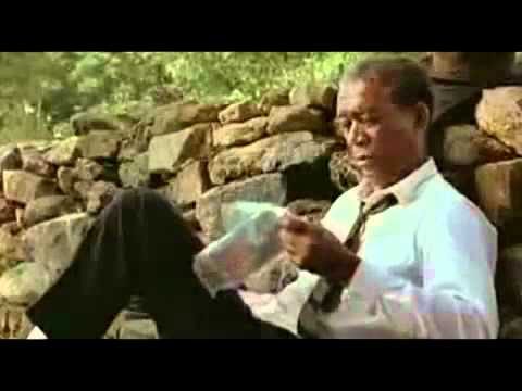 Ahora Se   Ricardo Montaner.