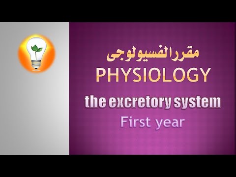 the excretory system Physiology first year فسيولوجي جهاز الإخراج الفرقة الأولى