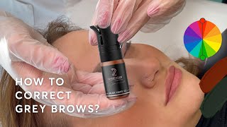 How To Correct Grey Brows | Powder Brows By 22 Institute