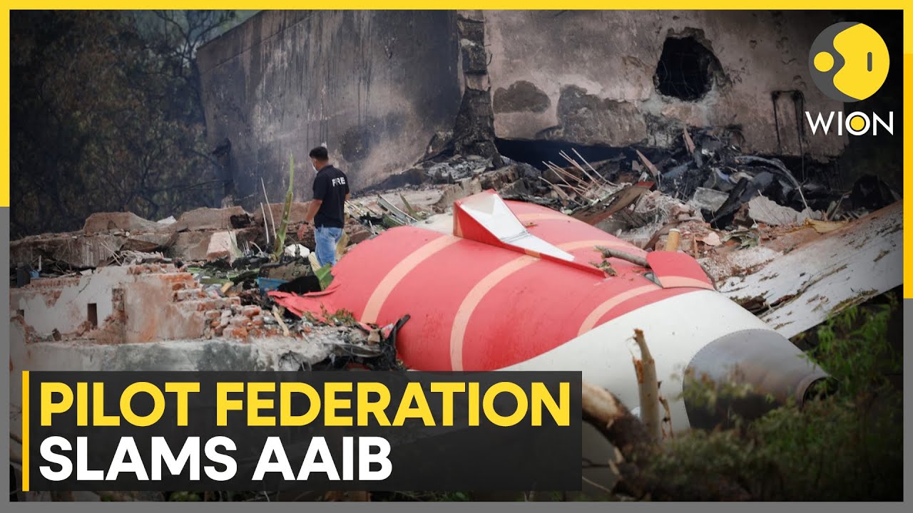 Air India Probe Row: FIP Hits 'Harassment' of Dead Pilot's Nephew | WION Dispatch