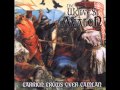 The Wolves Of Avalon - The Last Druid 