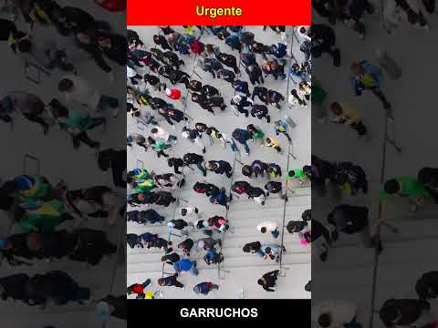 Garruchos - Rio Grande do Sul | Congreso CONECTA 2026 - Gratuito | Tecnologias Assistivas