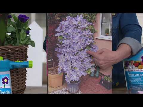 Richard Jackson 1.5-lbs Blossom Booster Plant Food with Sprayer on QVC