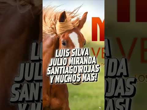 Éxitos de la Música Venezolana Mix 🎶 Luis Silva, Julio Miranda, Cristóbal Jiménez & Santiago Rojas
