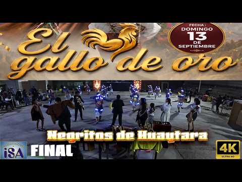 NEGRITOS DE HUAYTARA - HUANCAVELICA - AYNI PERU - CONCURSO ESENCIA ANDINA 2026 - PRODUCCIONES ISA