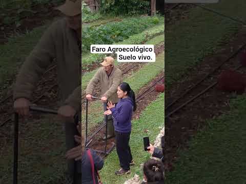 Gira Técnica a Faro Agroecológico en la comuna de Loncoche , Región de la Araucanía.