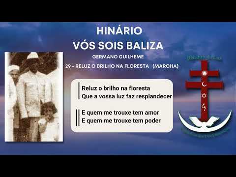 29   RELUZ O BRILHO NA FLORESTA