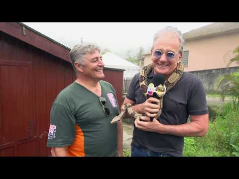 Operação Mesquita 27/05/2020