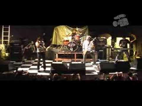 Bonequinha video