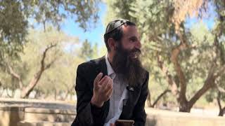 מי יבנה את בית המקדש השלישי? ירד מהשמים או מעשה ידינו • הפטרת פרשת כי תבוא | הרב אלישע וולפסון (ישיבת הר הבית) - התמונה מוצגת ישירות מתוך אתר האינטרנט יוטיוב. זכויות היוצרים בתמונה שייכות ליוצרה. קישור קרדיט למקור התוכן נמצא בתוך דף הסרטון מי יבנה את בית המקדש השלישי? ירד מהשמים או מעשה ידינו • הפטרת פרשת כי תבוא | הרב אלישע וולפסון (ישיבת הר הבית) - התמונה מוצגת ישירות מתוך אתר האינטרנט יוטיוב. זכויות היוצרים בתמונה שייכות ליוצרה. קישור קרדיט למקור התוכן נמצא בתוך דף הסרטון