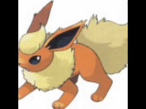 evoli et ses evolution