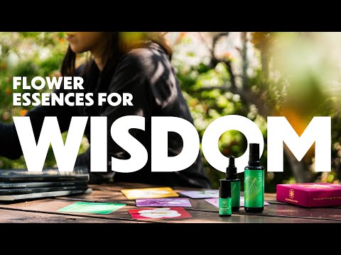 LOTUSWEI FLOWER ESSENCES | Katie Teaches about Boundless Wisdom