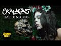 8 KALACAS - Labios Negros (Official Music Video)