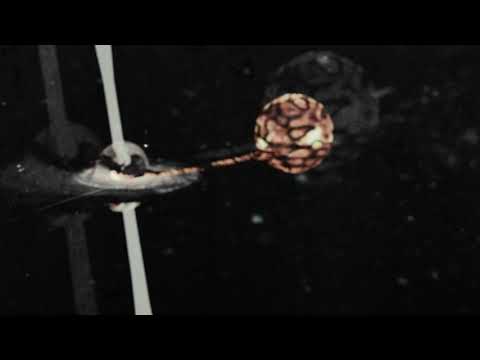 CGI 3D Animated- Black Hole simulation C4D.